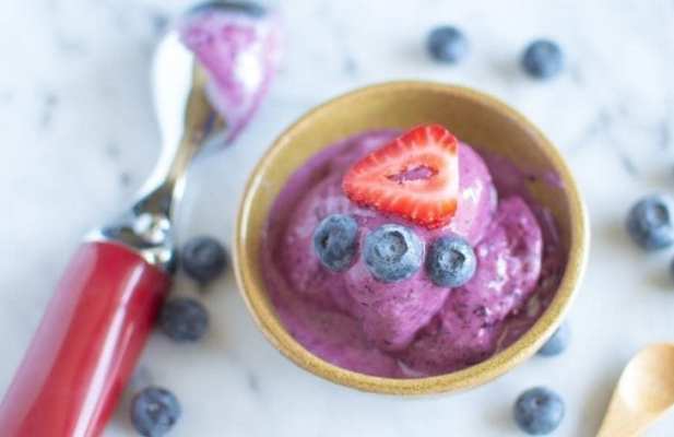  Blueberry Frozen Yogurt - FoodWage recipe